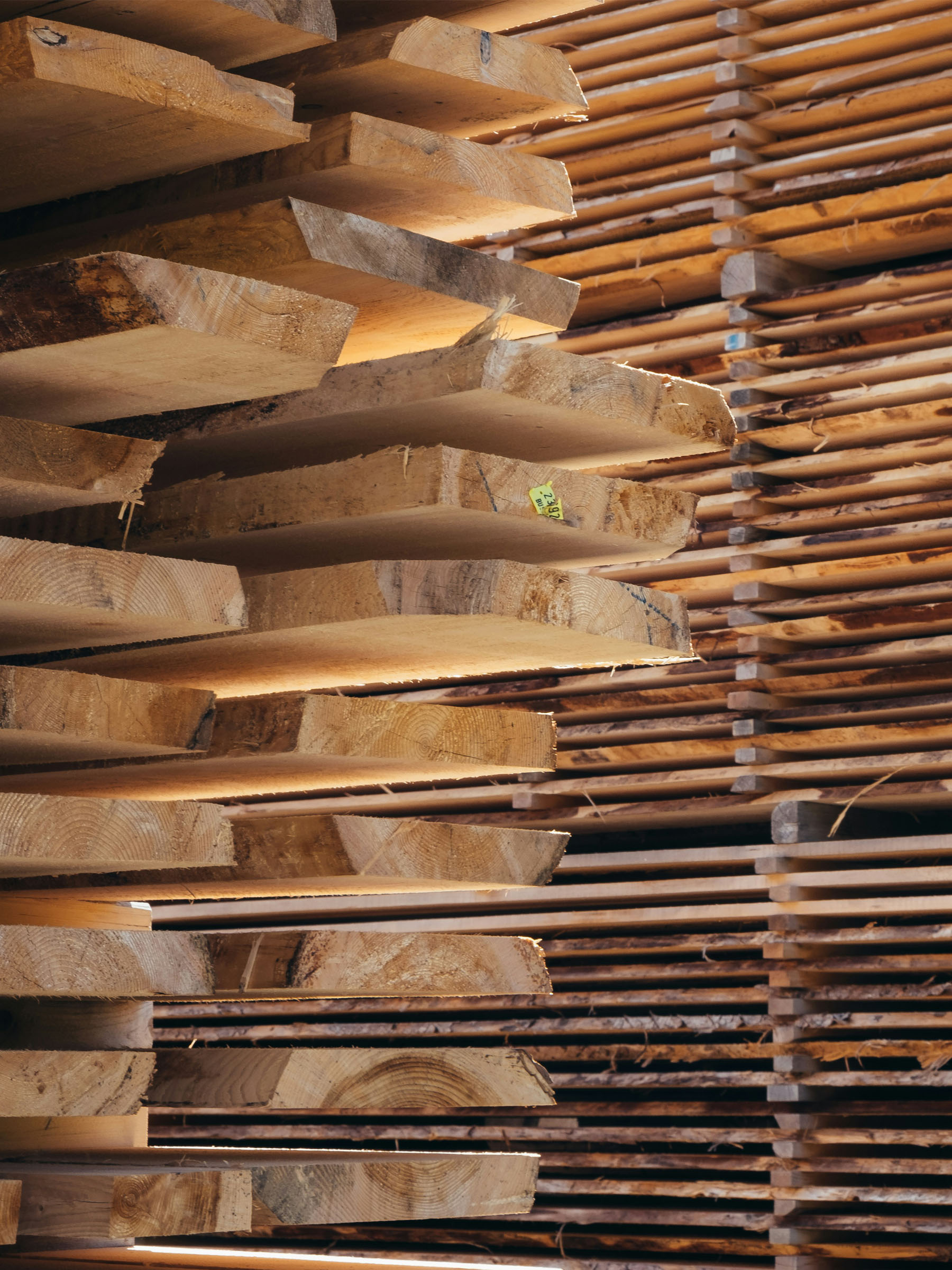 <img src="image.jpg" alt="">