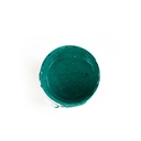 Water-Based Ink - Forest Green
