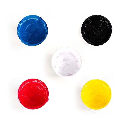 Screen Printing Ink Pack CMYK & White