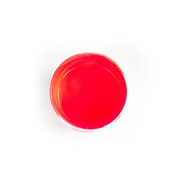 Water-Based Ink - Fluo Red